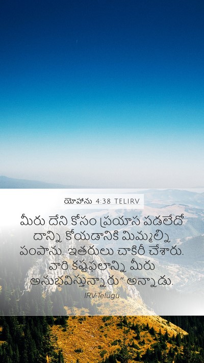 యోహాను 4:38 TELIRV Bible Verse Image