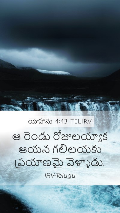 యోహాను 4:43 TELIRV Bible Verse Image