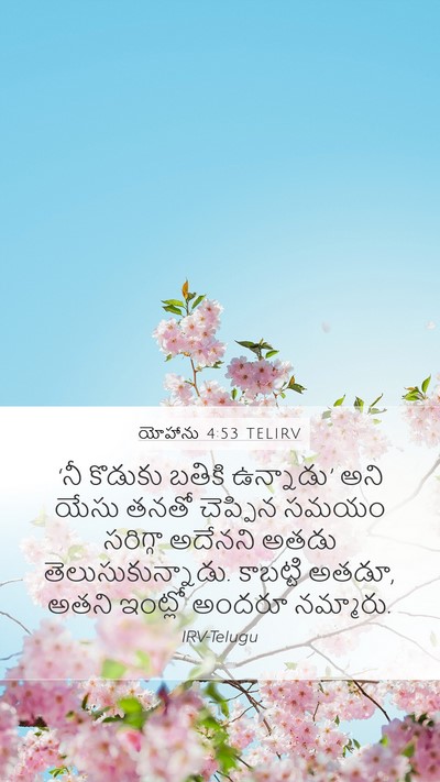 యోహాను 4:53 TELIRV Bible Verse Image