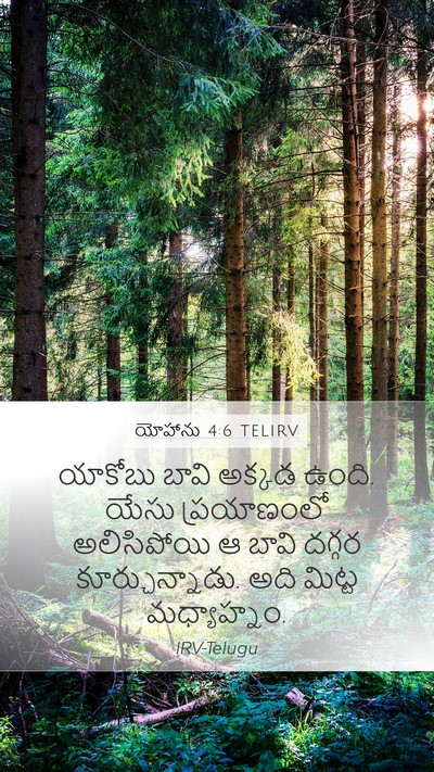 యోహాను 4:6 TELIRV Bible Verse Image