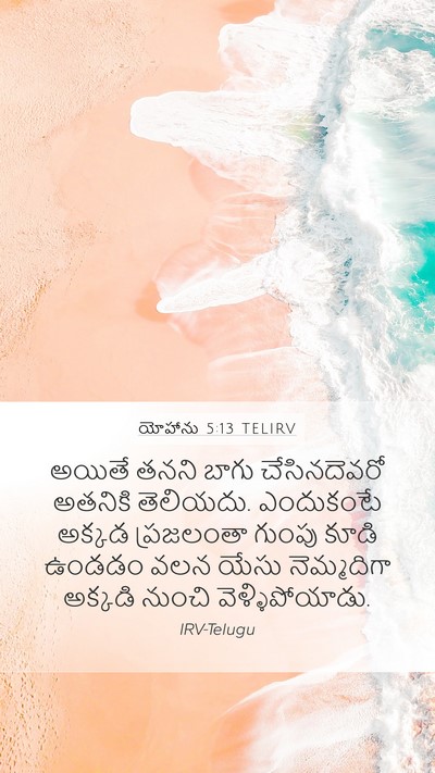 యోహాను 5:13 TELIRV Bible Verse Image