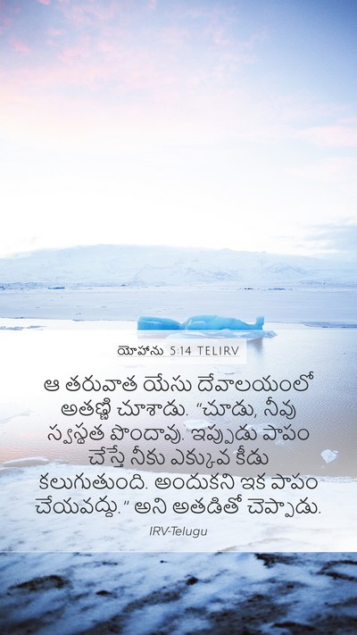 యోహాను 5:14 TELIRV Bible Verse Image