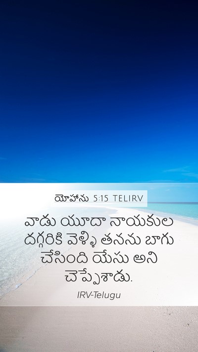 యోహాను 5:15 TELIRV Mobile Phone Wallpaper - వాడు యూదా నాయకుల - Mobile Bible Verse Wallpaper