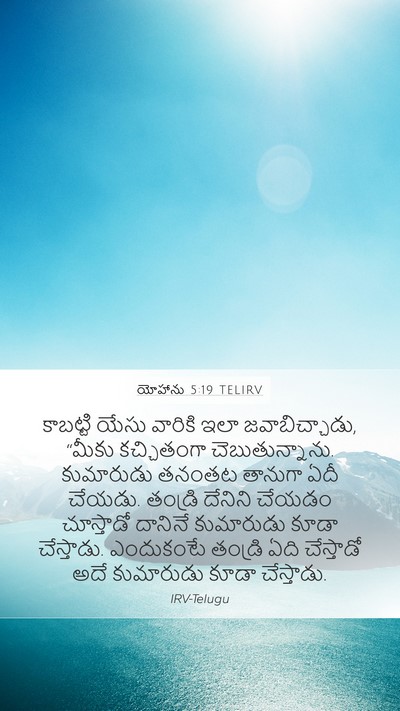 యోహాను 5:19 TELIRV Bible Verse Image