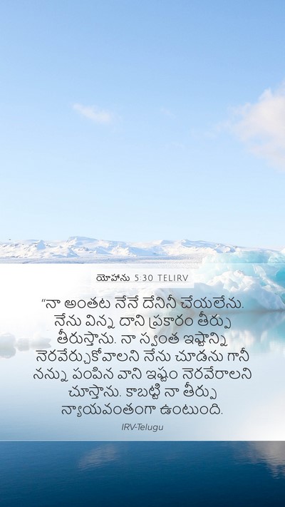 యోహాను 5:30 TELIRV Bible Verse Image