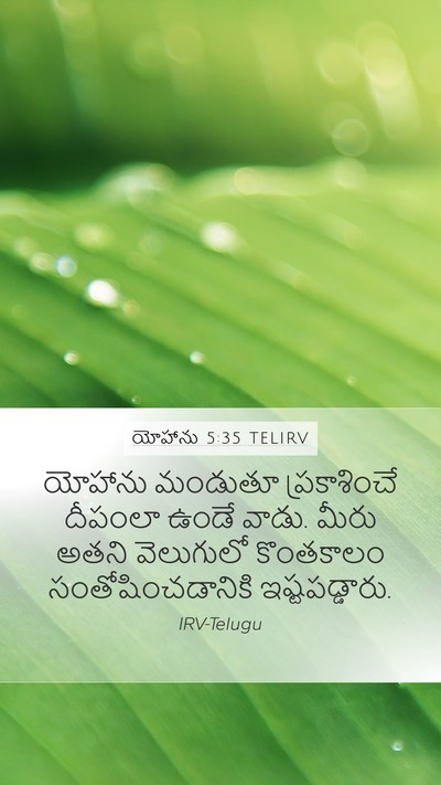 యోహాను 5:35 TELIRV Bible Verse Image