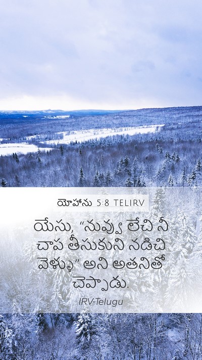 యోహాను 5:8 TELIRV Bible Verse Image