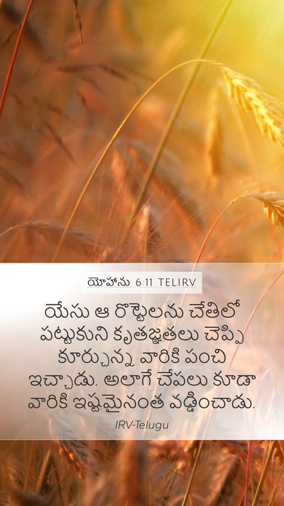 యోహాను 6:11 TELIRV Bible Verse Image
