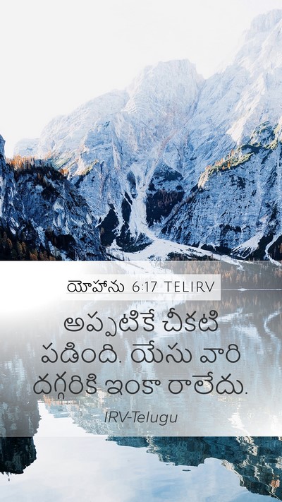 యోహాను 6:17 TELIRV Bible Verse Image