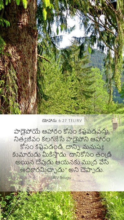 యోహాను 6:27 TELIRV Bible Verse Image