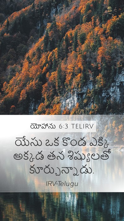 యోహాను 6:3 TELIRV Mobile Phone Wallpaper - యేసు ఒక కొండ ఎక్కి - Mobile Bible Verse Wallpaper