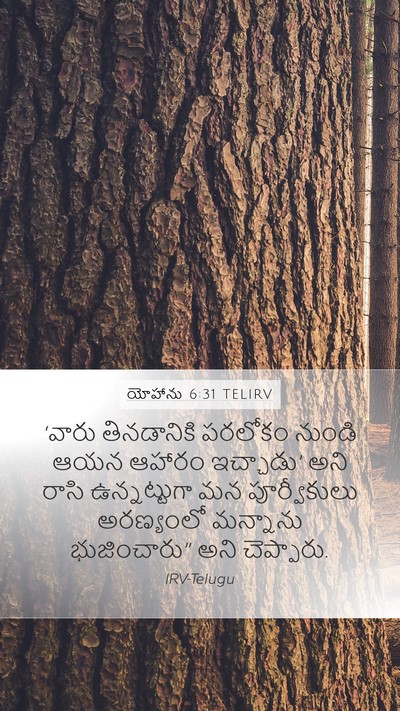యోహాను 6:31 TELIRV Bible Verse Image
