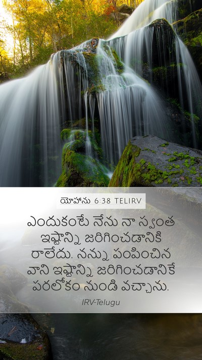 యోహాను 6:38 TELIRV Bible Verse Image