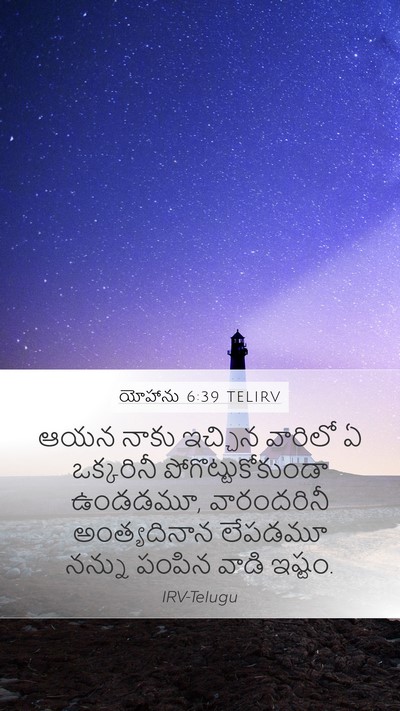 యోహాను 6:39 TELIRV Bible Verse Image
