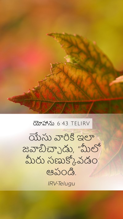 యోహాను 6:43 TELIRV Mobile Phone Wallpaper - యేసు వారికి ఇలా - Mobile Bible Verse Wallpaper
