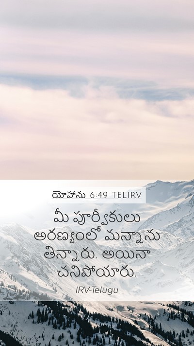 యోహాను 6:49 TELIRV Bible Verse Image