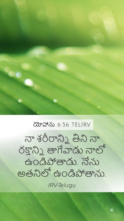 యోహాను 6:56 TELIRV Bible Verse Image
