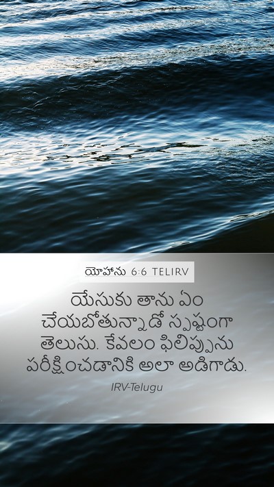 యోహాను 6:6 TELIRV Bible Verse Image
