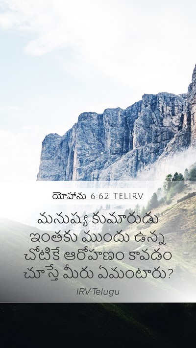 యోహాను 6:62 TELIRV Bible Verse Image
