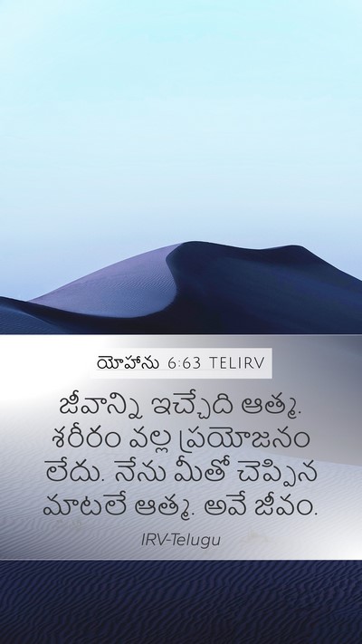 యోహాను 6:63 TELIRV Bible Verse Image