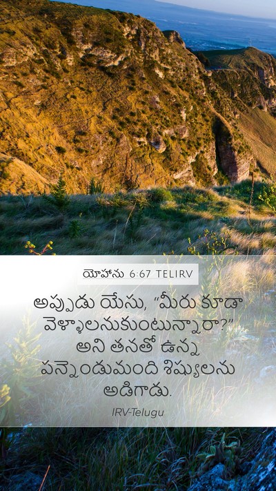 యోహాను 6:67 TELIRV Bible Verse Image