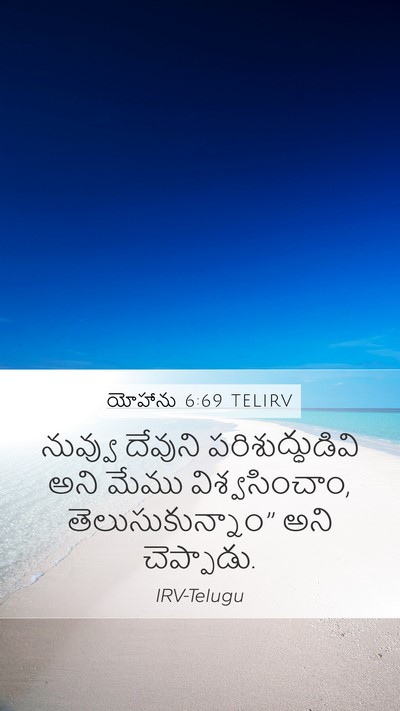 యోహాను 6:69 TELIRV Bible Verse Image