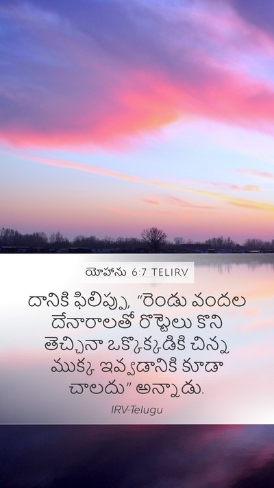 యోహాను 6:7 TELIRV Bible Verse Image