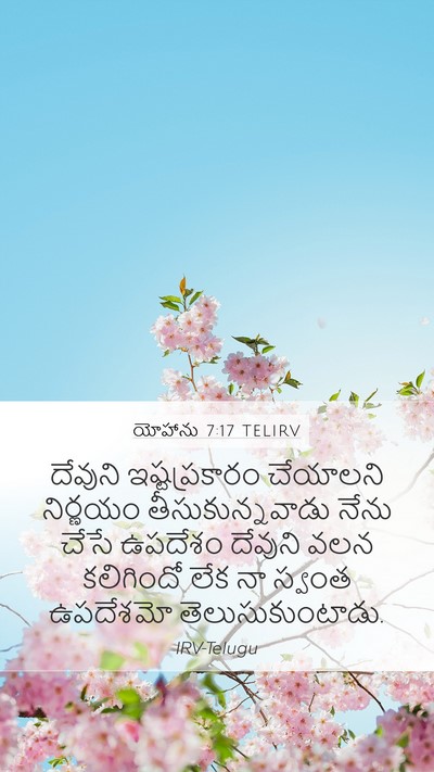 యోహాను 7:17 TELIRV Bible Verse Image