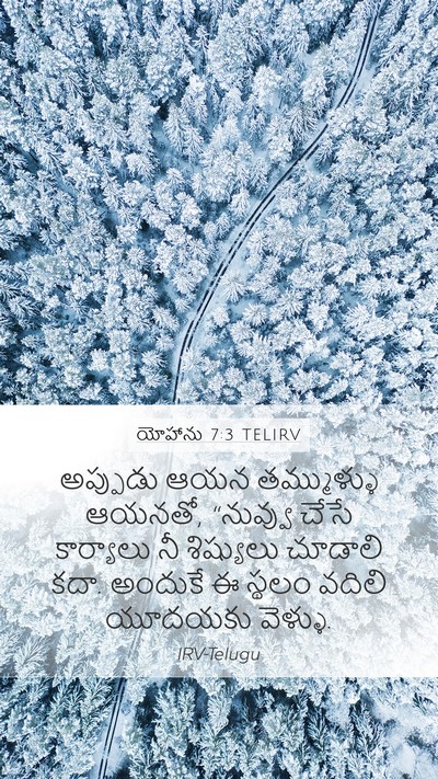 యోహాను 7:3 TELIRV Bible Verse Image