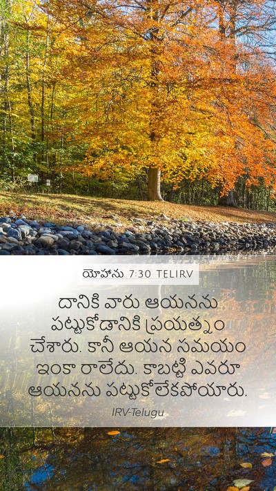 యోహాను 7:30 TELIRV Bible Verse Image
