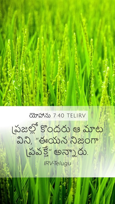 యోహాను 7:40 TELIRV Bible Verse Image