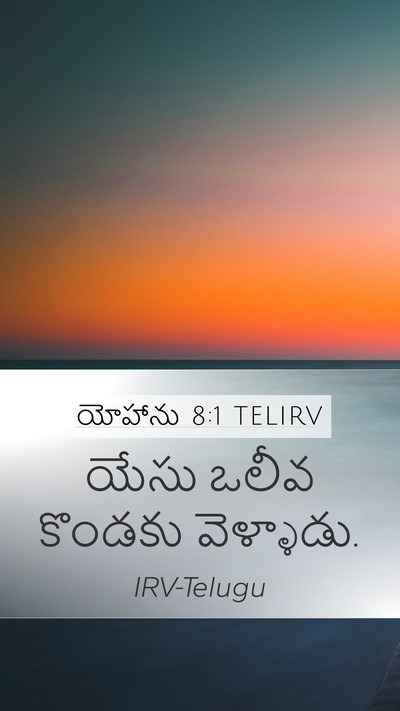 యోహాను 8:1 TELIRV Bible Verse Image