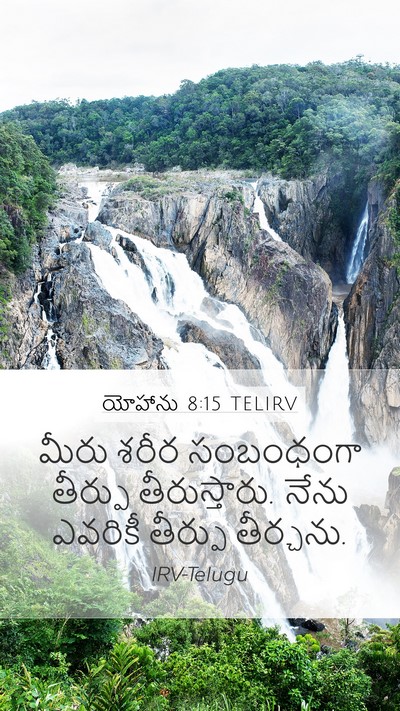 యోహాను 8:15 TELIRV Bible Verse Image