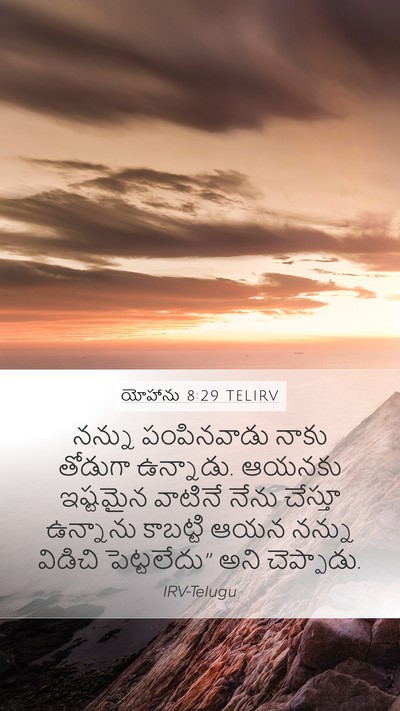 యోహాను 8:29 TELIRV Bible Verse Image