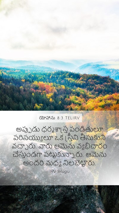 యోహాను 8:3 TELIRV Bible Verse Image