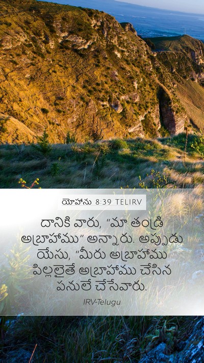 యోహాను 8:39 TELIRV Bible Verse Image