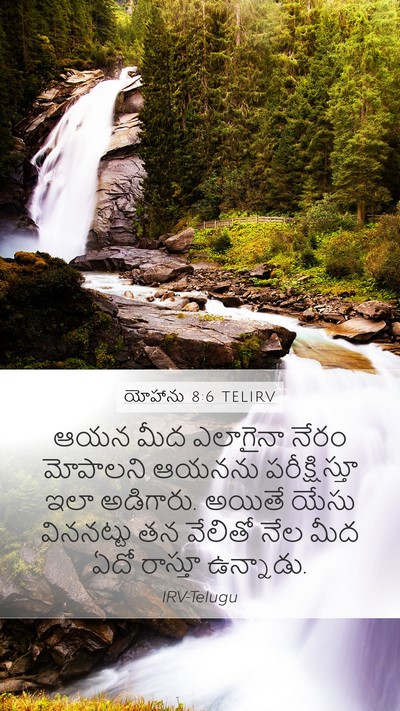 యోహాను 8:6 TELIRV Bible Verse Image