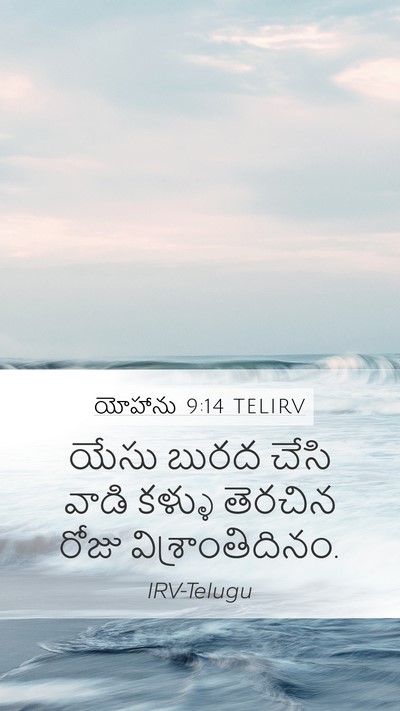 యోహాను 9:14 TELIRV Bible Verse Image