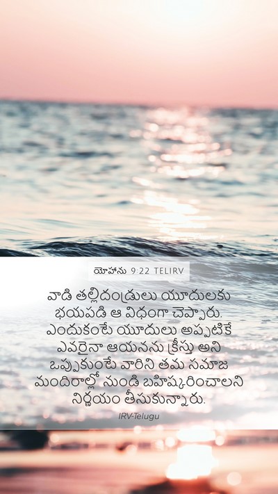 యోహాను 9:22 TELIRV Bible Verse Image