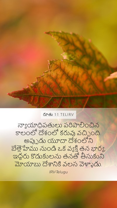 రూతు 1:1 TELIRV Mobile Phone Wallpaper - న్యాయాధిపతులు - Mobile Bible Verse Wallpaper