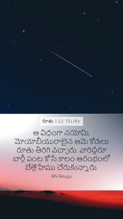 రూతు 1:22 TELIRV Bible Verse Image