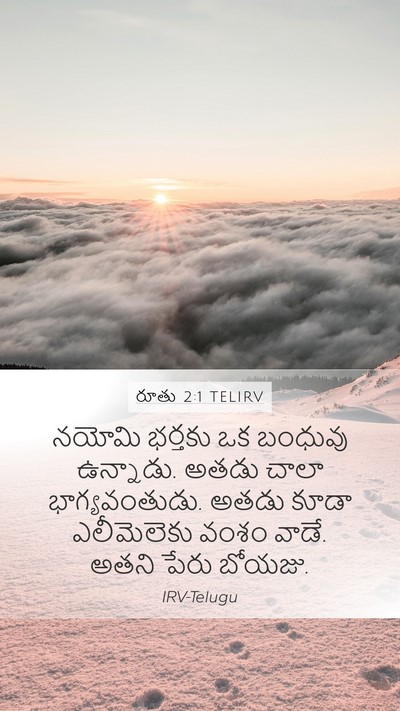 రూతు 2:1 TELIRV Mobile Phone Wallpaper - నయోమి భర్తకు ఒక - Mobile Bible Verse Wallpaper