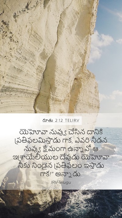 రూతు 2:12 TELIRV Bible Verse Image