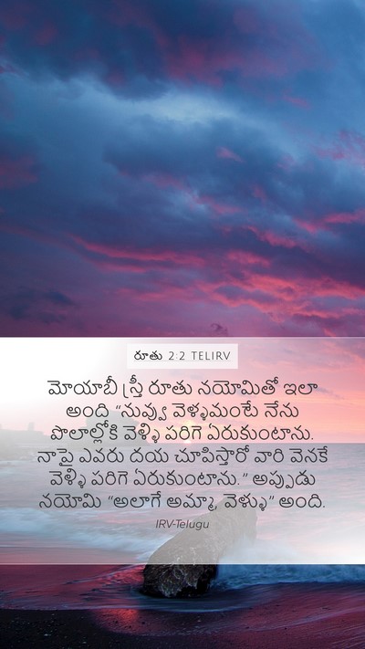 రూతు 2:2 TELIRV Mobile Phone Wallpaper - మోయాబీ స్త్రీ - Mobile Bible Verse Wallpaper