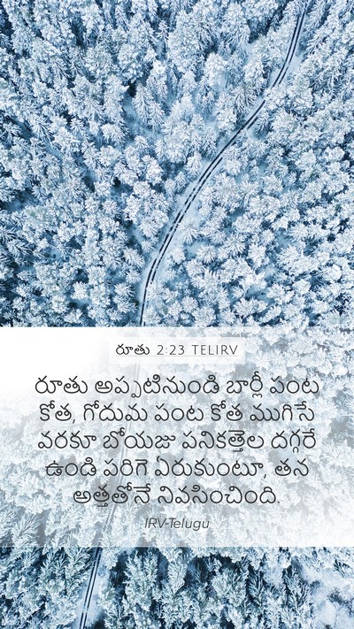 రూతు 2:23 TELIRV Bible Verse Image