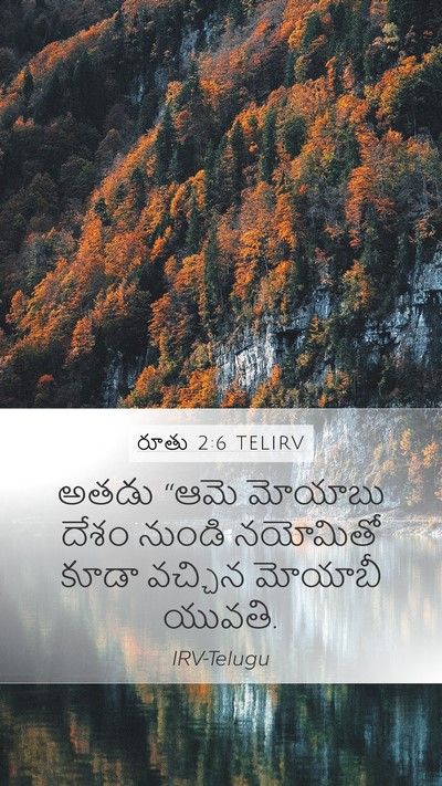 రూతు 2:6 TELIRV Mobile Phone Wallpaper - అతడు “ఆమె మోయాబు - Mobile Bible Verse Wallpaper