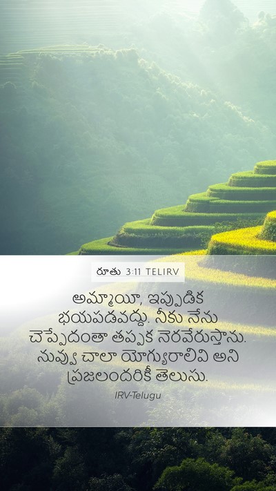 రూతు 3:11 TELIRV Bible Verse Image