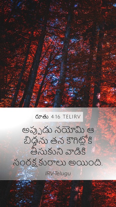 రూతు 4:16 TELIRV Mobile Phone Wallpaper - అప్పుడు నయోమి ఆ - Mobile Bible Verse Wallpaper