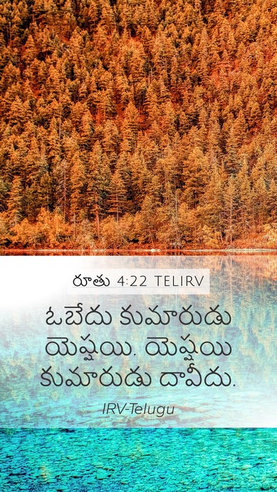 రూతు 4:22 TELIRV Mobile Phone Wallpaper - ఓబేదు కుమారుడు - Mobile Bible Verse Wallpaper