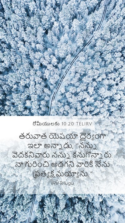 రోమీయులకు 10:20 TELIRV Bible Verse Image